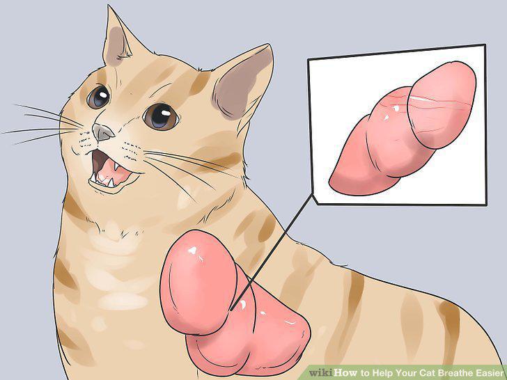 Step 14