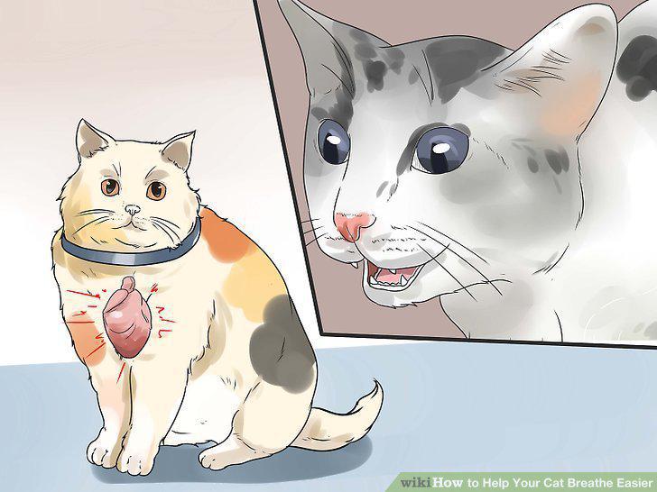 Step 15
