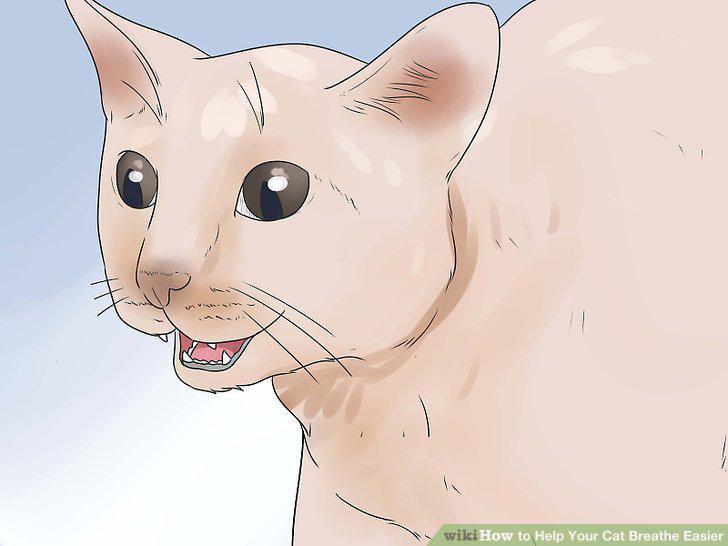 Step 16