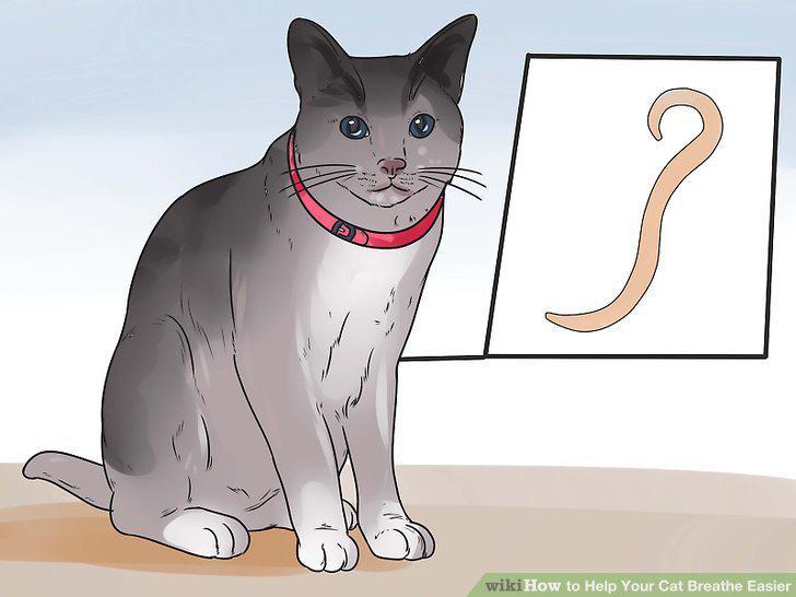 Step 17