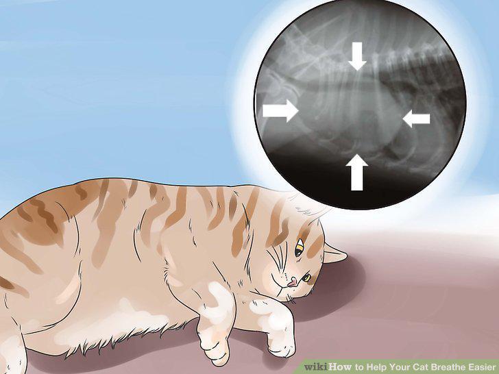 Step 18