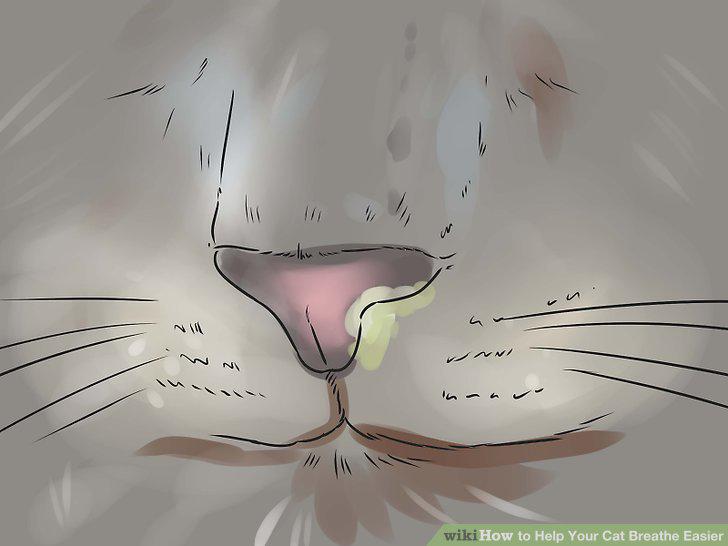 Step 3