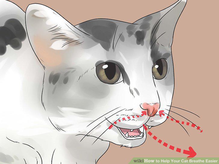 Step 5