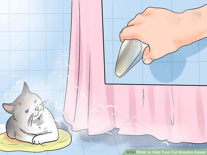 Step 10