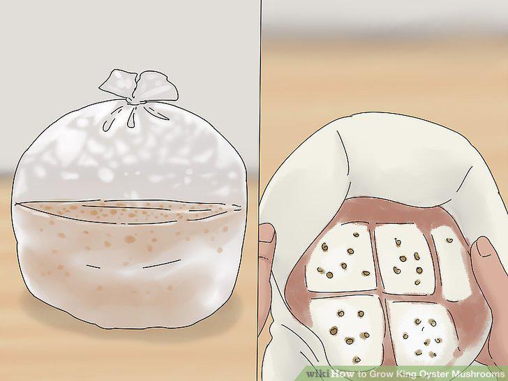 Step 11