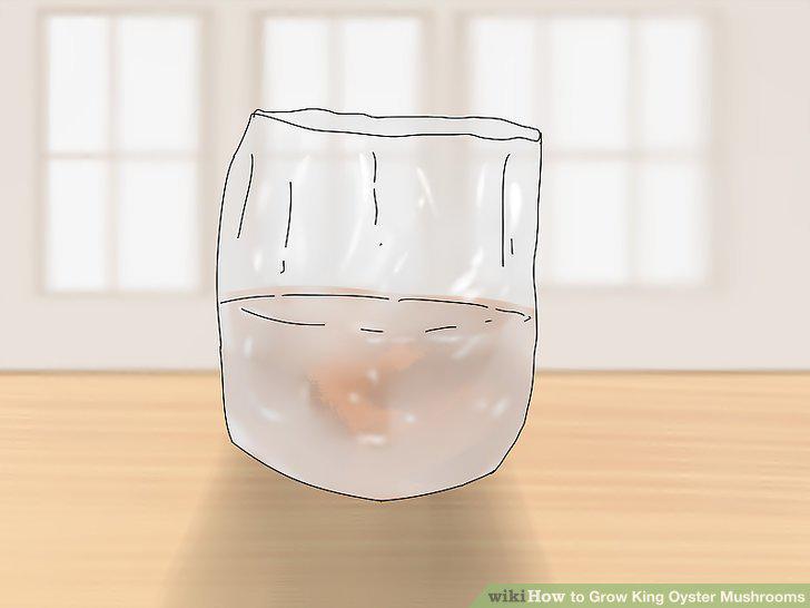Step 12