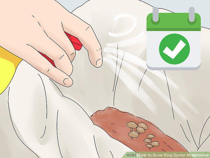 Step 13