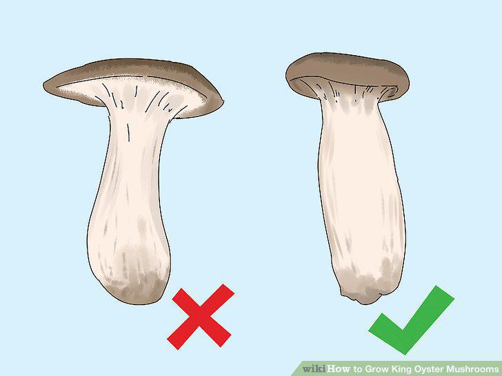 Step 14