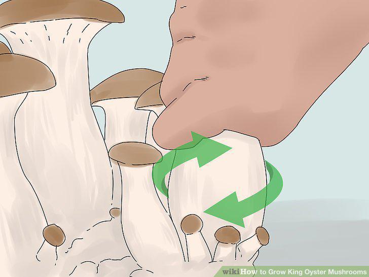 Step 15