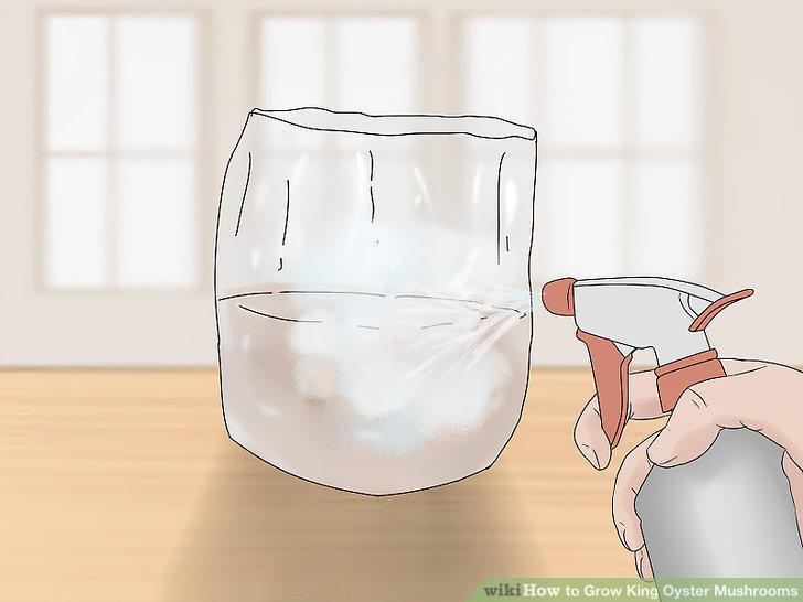 Step 16