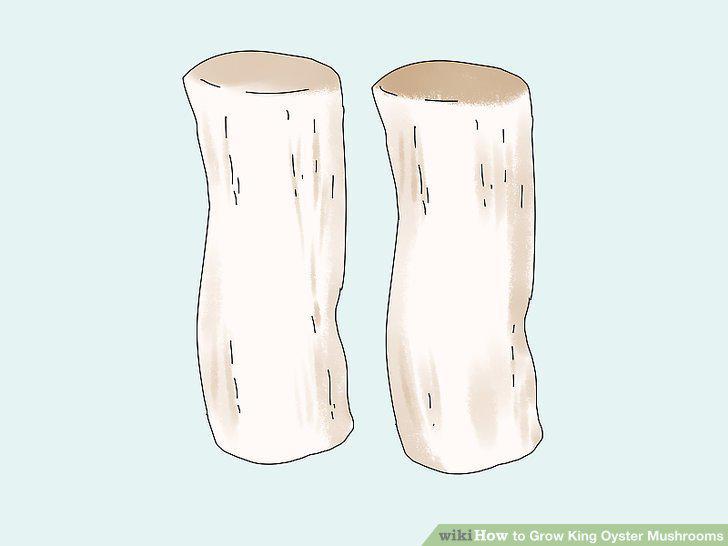 Step 17
