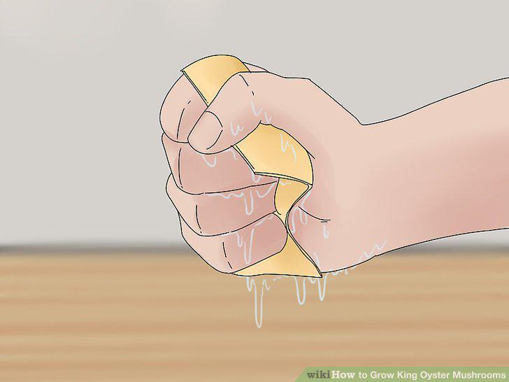 Step 4