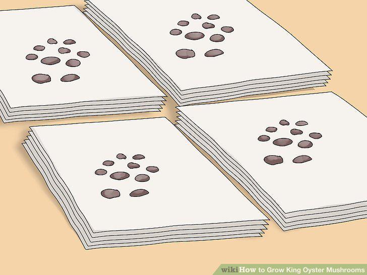 Step 6