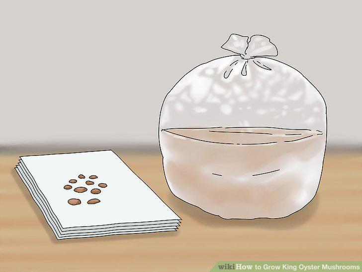 Step 7