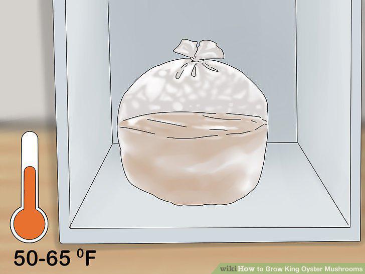 Step 8