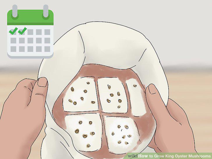 Step 9