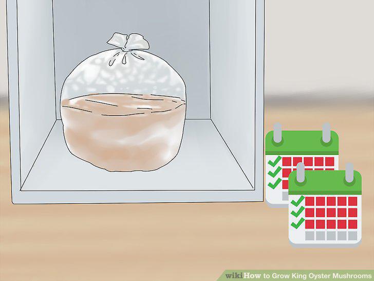 Step 10
