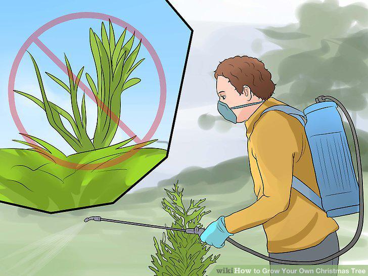 Step 12