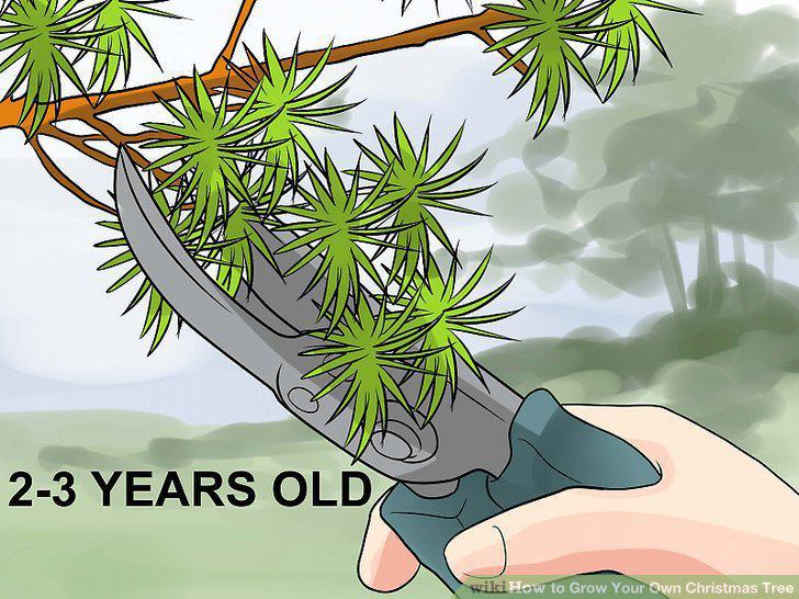 Step 13