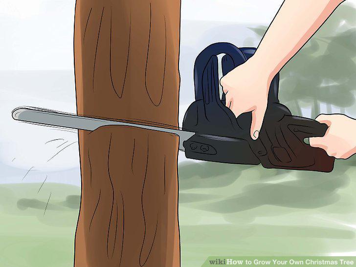 Step 15