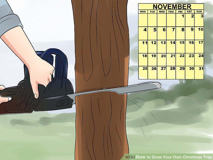 Step 16
