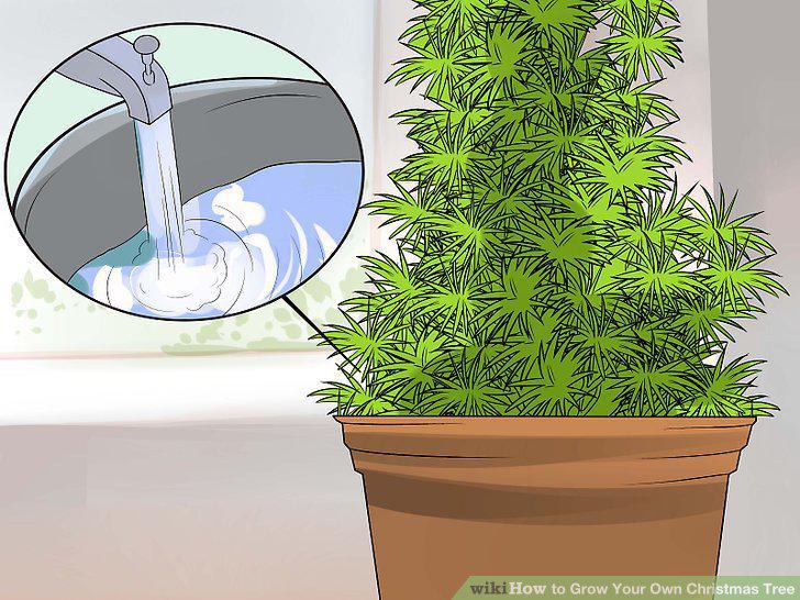 Step 17