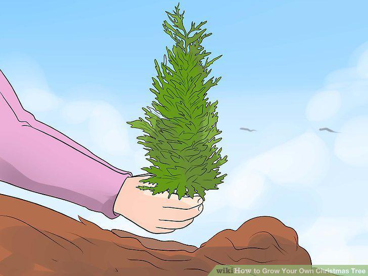 Step 10
