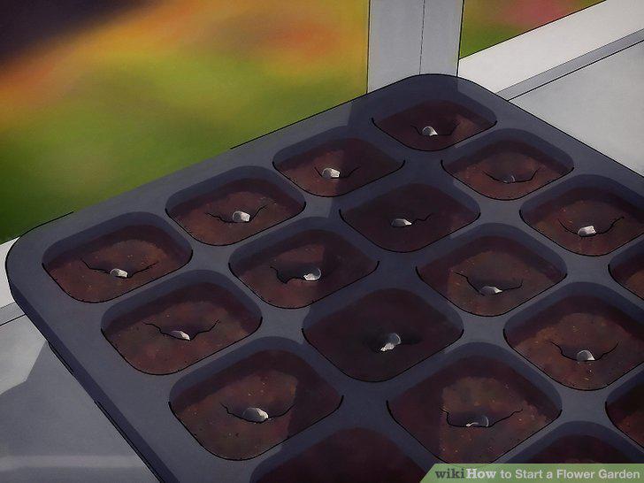 Step 11