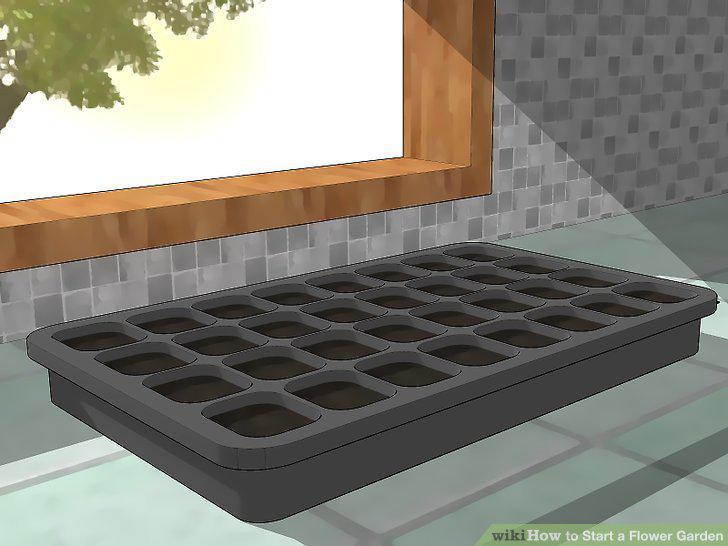 Step 12