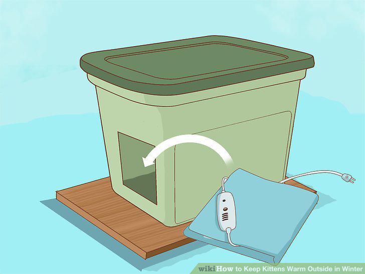 Step 12