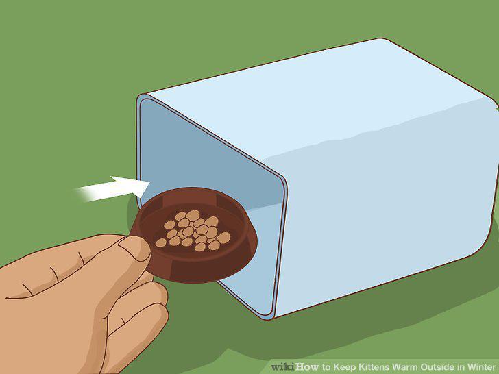 Step 13