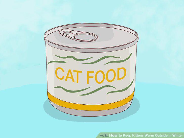 Step 16
