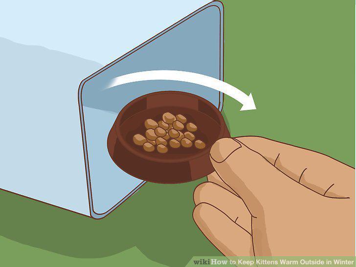 Step 17