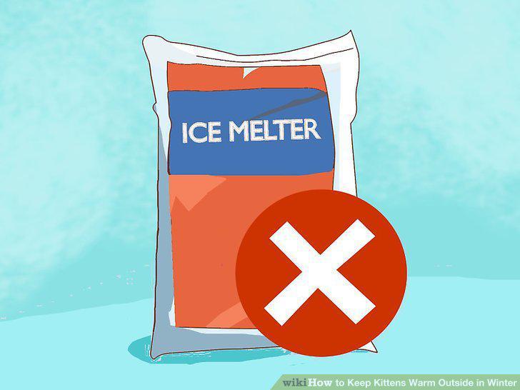Step 10