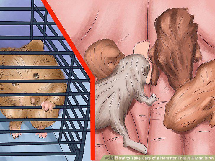 Step 11