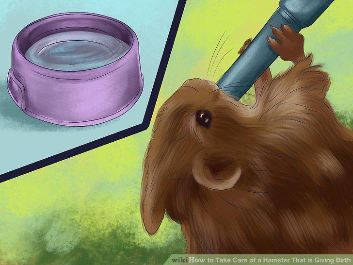 Step 5