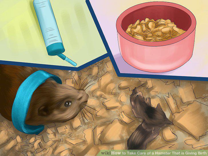 Step 10