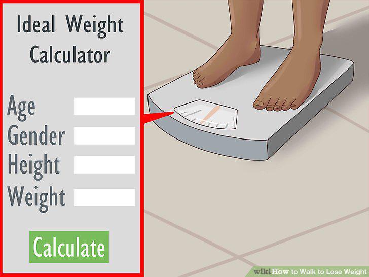 Step 16