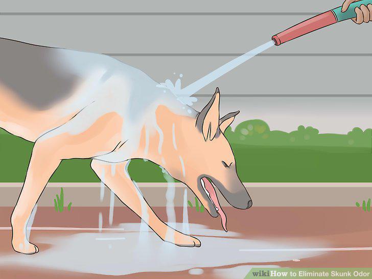 Step 11