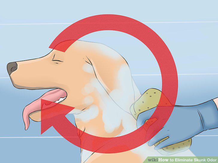 Step 12