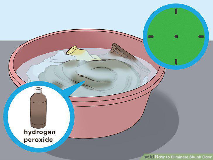 Step 13