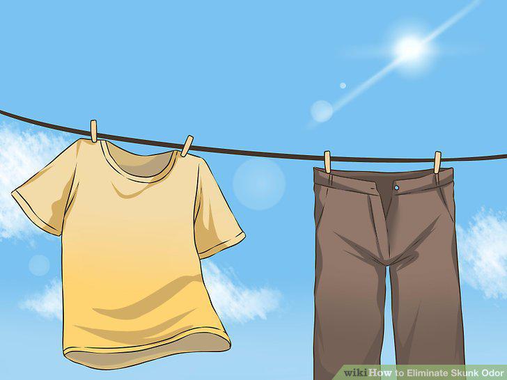Step 15