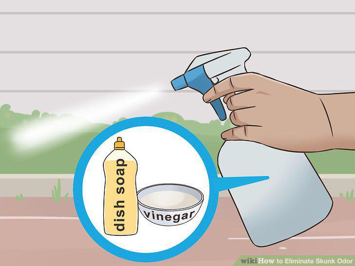 Step 18