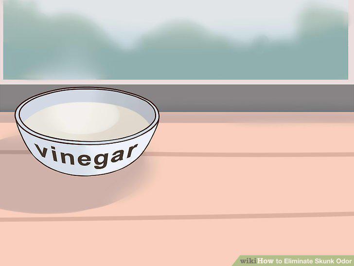 Step 20
