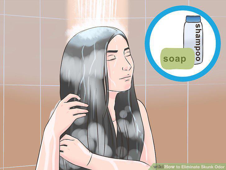 Step 5