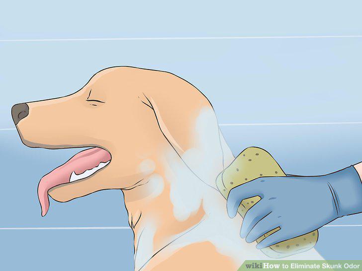 Step 9