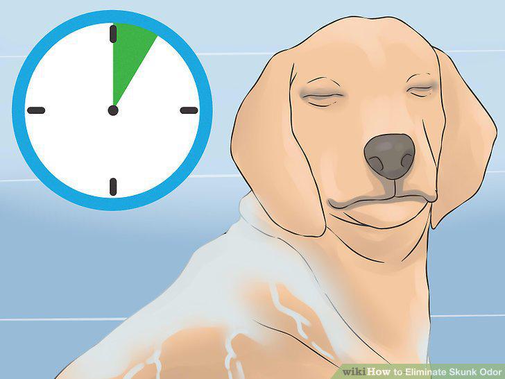 Step 10