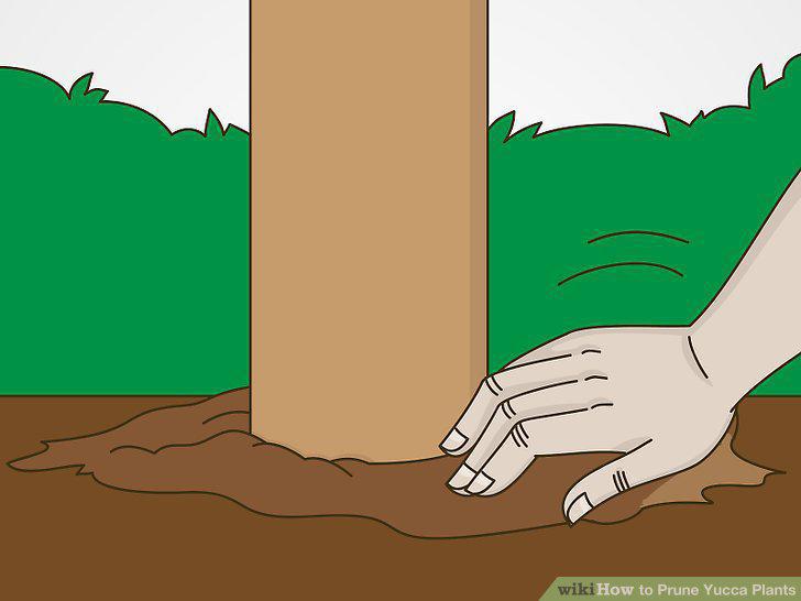 Step 15