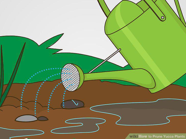 Step 16