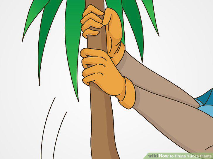 Step 7